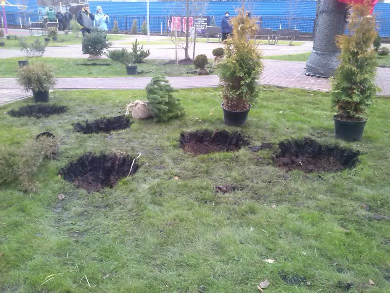 Изображение 337