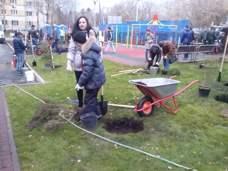 Изображение 311