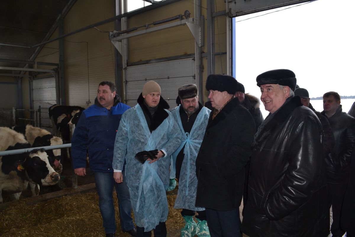 бывшие фермы нижегородской области. тилинино нижегородская область ферма. крс коноваловка животноводческий комплекс. фермы в нижегородской области. нижегородские фермы.