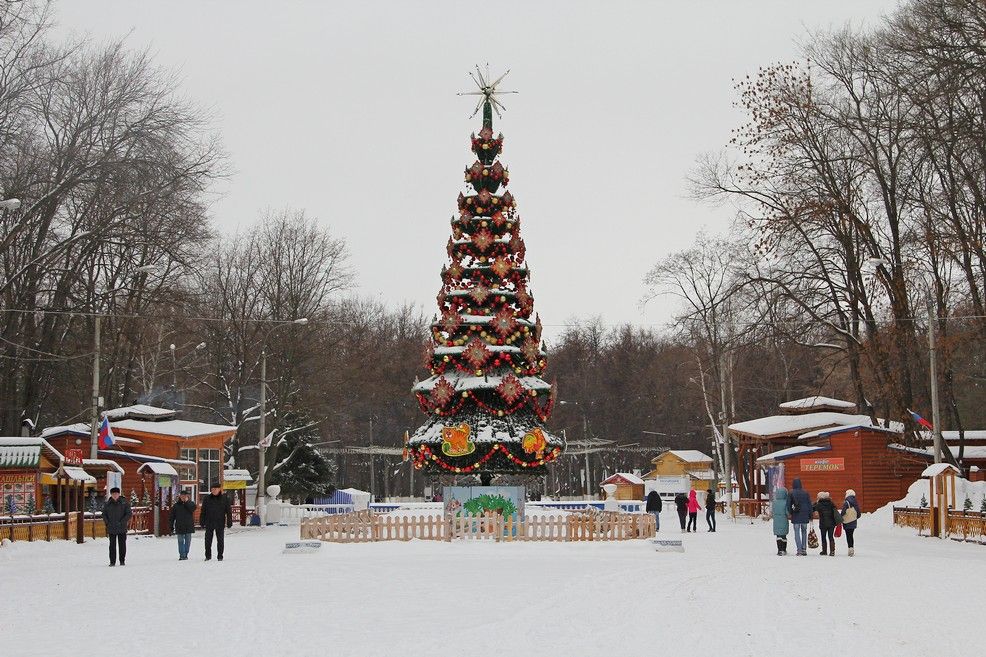 Подготовка к НГ 2012_1