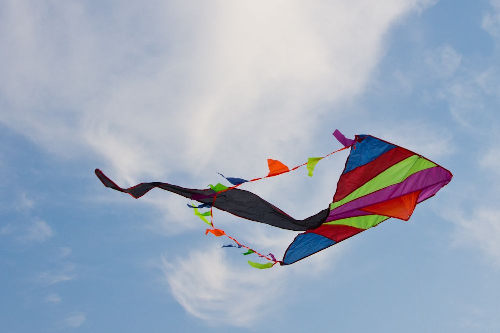 Воздушные змеи2011_8