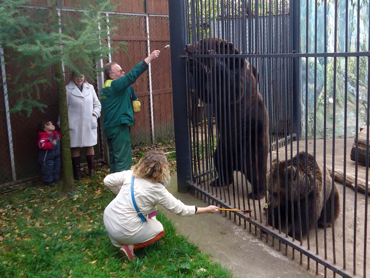 zoo35