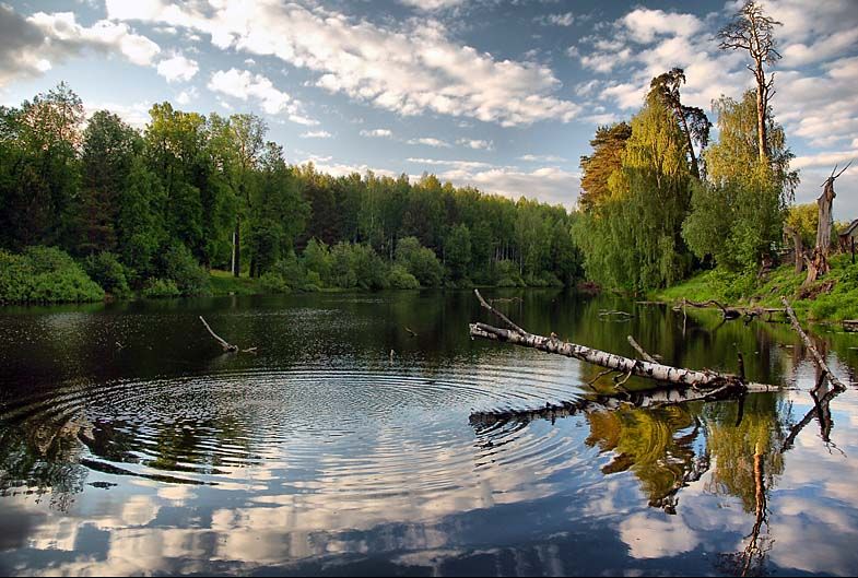 Утонул в оке