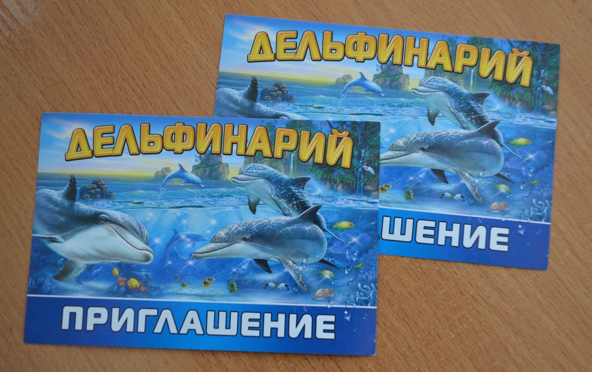 Билет в дельфинарий