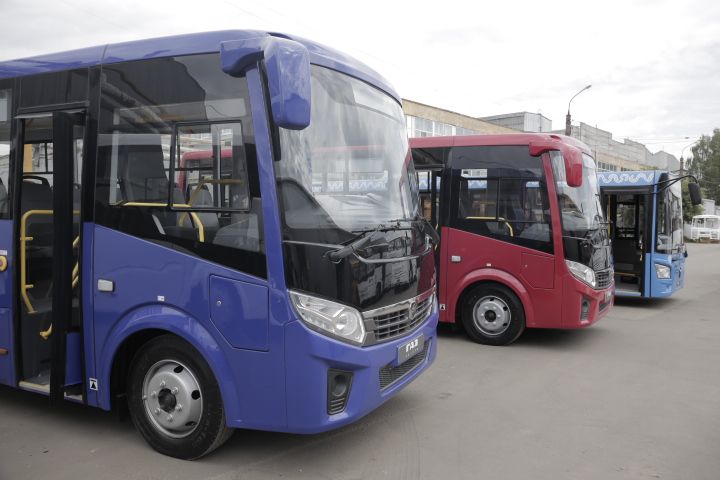 Купить Автобус Вектор Некст Цена