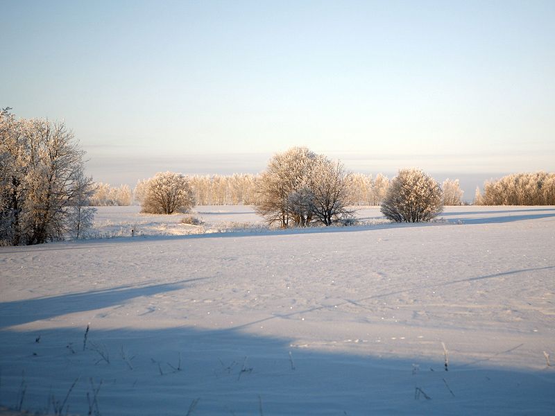 поле снег зима