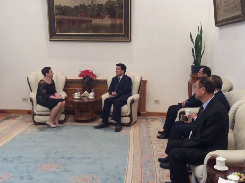 Холкина Делегация КНР 3