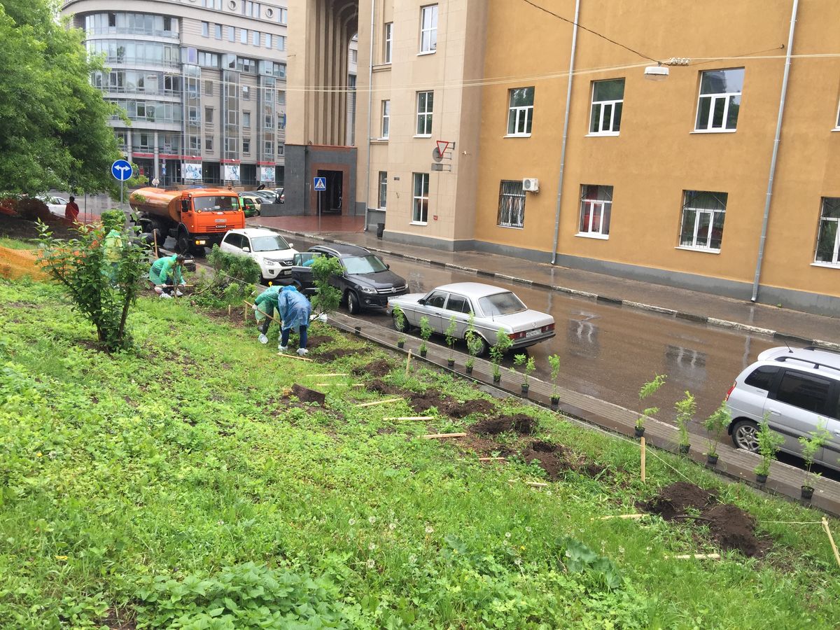 Посадка деревьев на Земляном валу 2