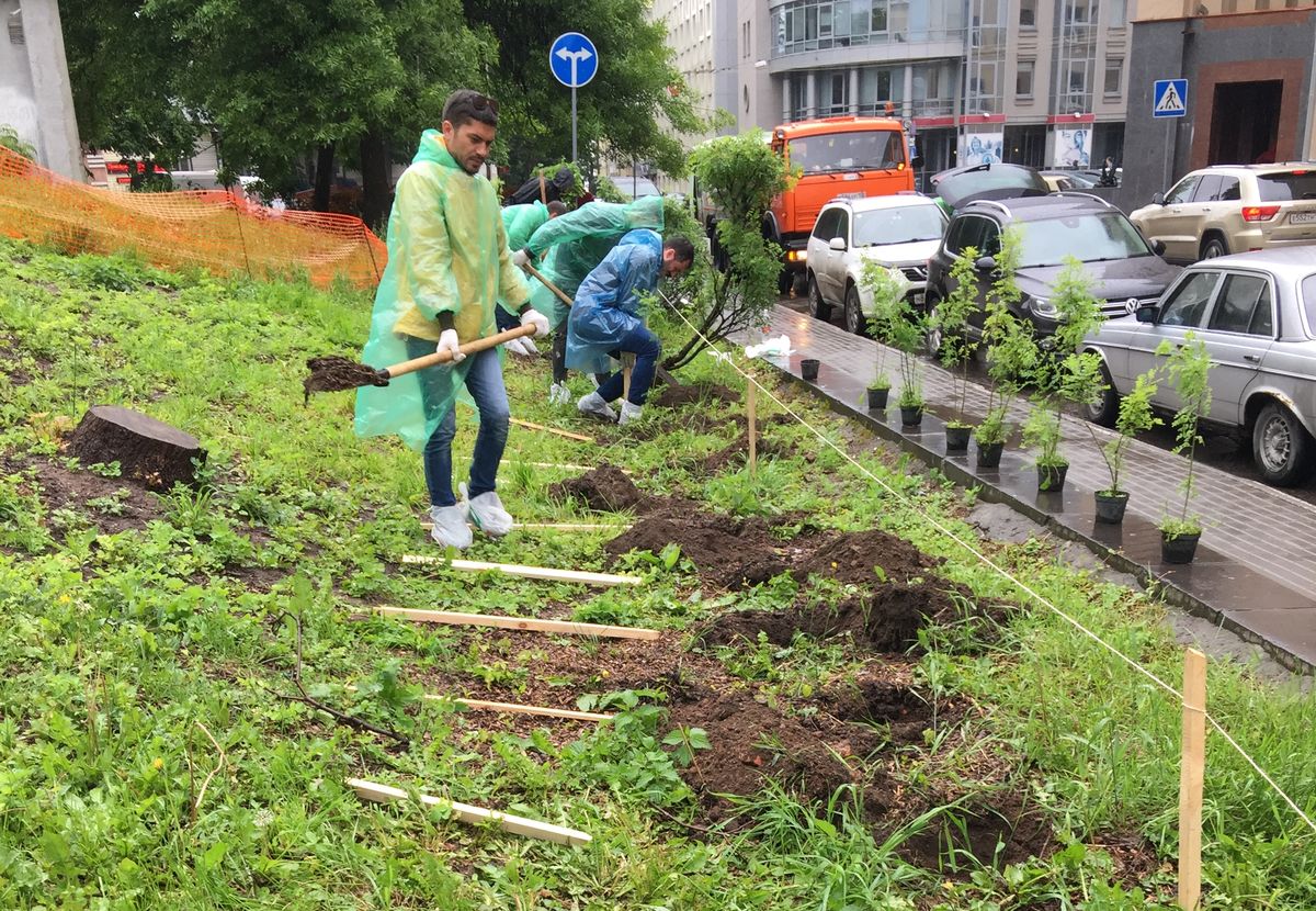 Посадка деревьев на Земляном валу