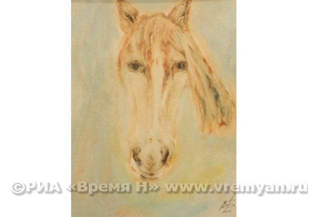 Слушайте, лошадь, 2014