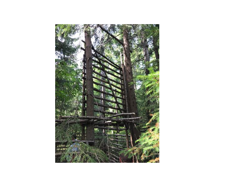 Живоловушка для кабанов