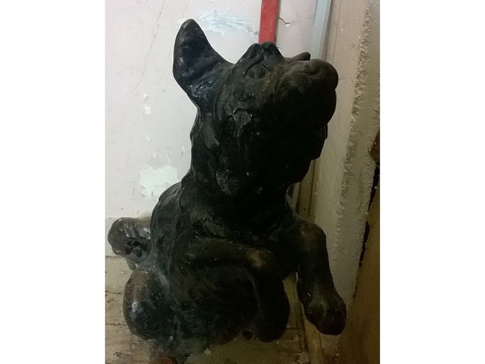 собачка с покровки