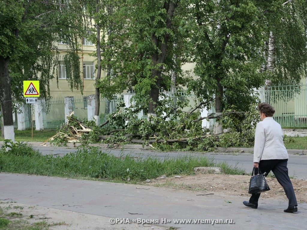Последствия урагана.23