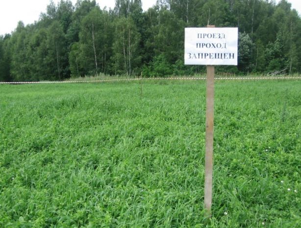 Провал в Шатковском районе 2