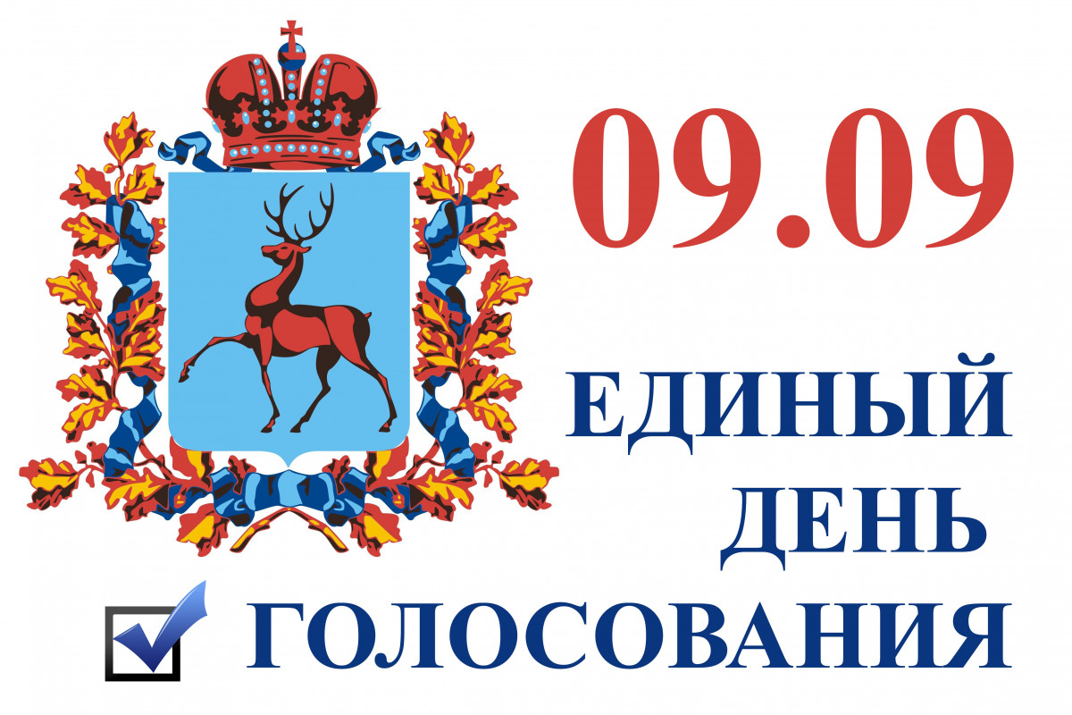 Выборы 09.09 ONLINE. Единый день голосования в Нижегородской области