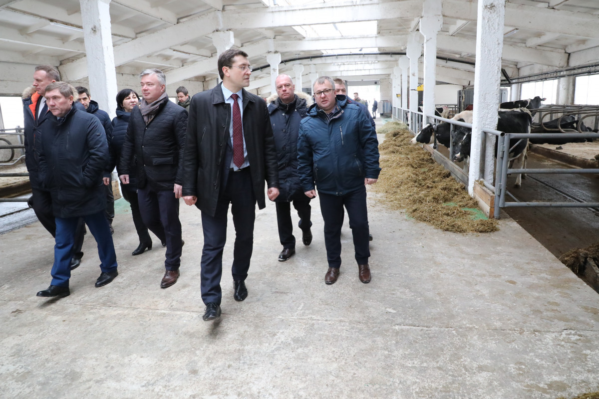 Никитин: объемы поддержки животноводства Нижегородской области увеличены на 33%