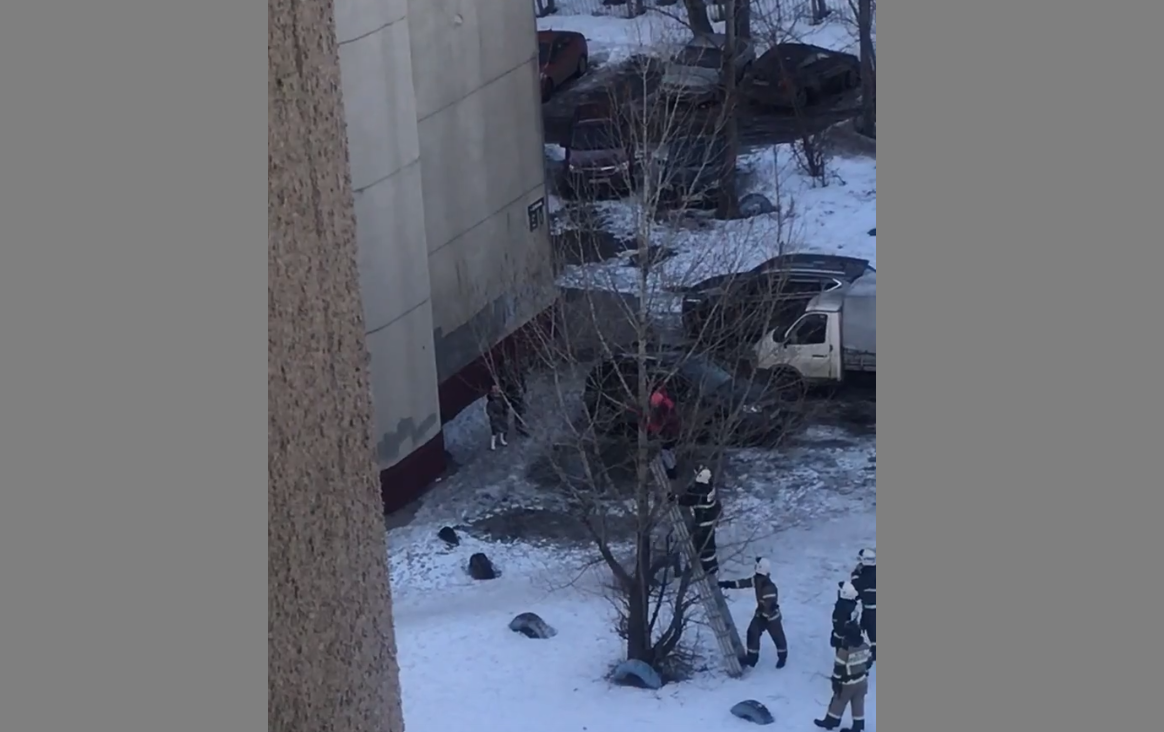Спасатели сняли ребенка с дерева в Автозаводском районе