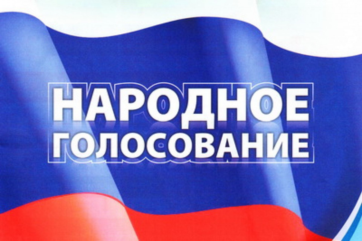 Голосование национальные проекты