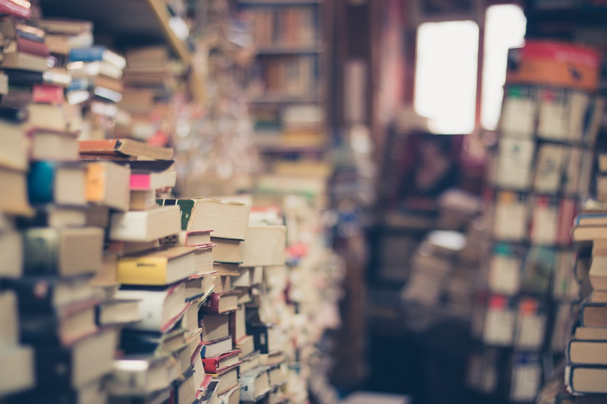 Презентация книг о Нижнем Новгороде пройдет на Нижне-Волжской набережной в День города