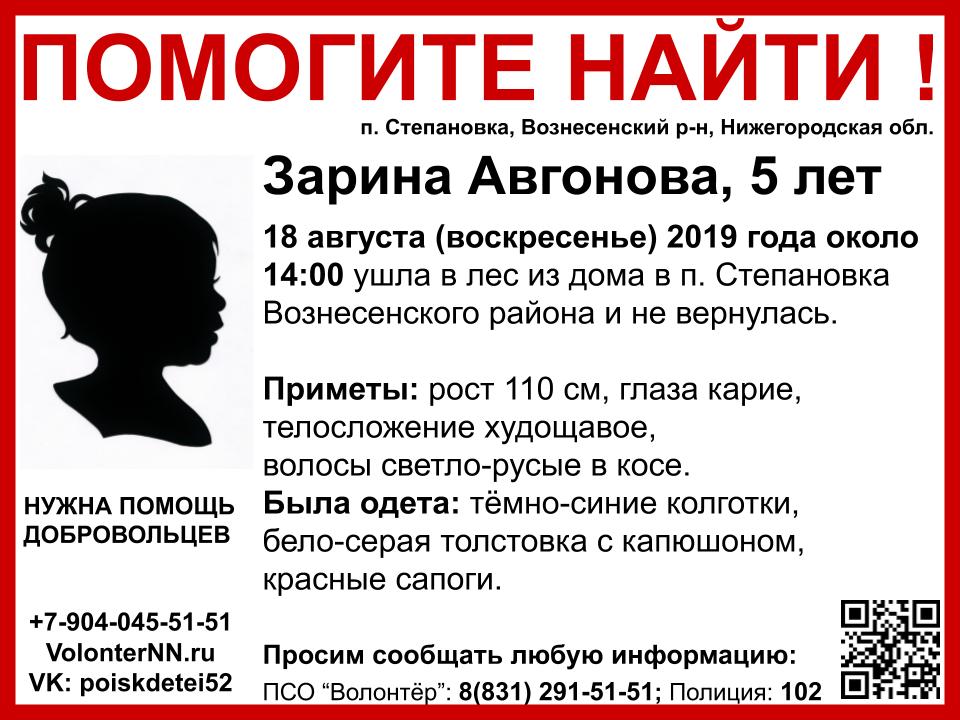 Пятилетняя Зарина Авгонова пропала в Вознесенском районе