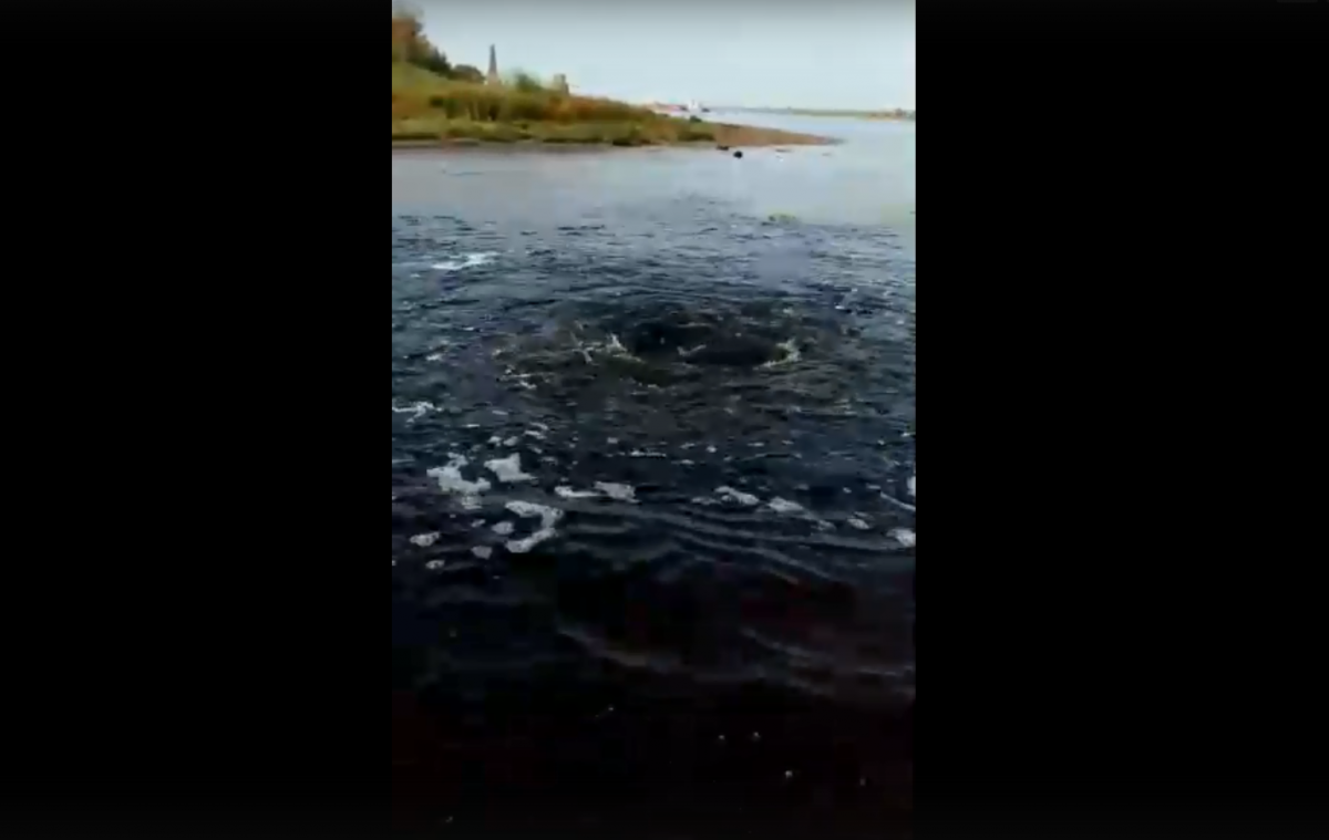 Фекальные гейзеры бьют из Волги в Балахнинском районе