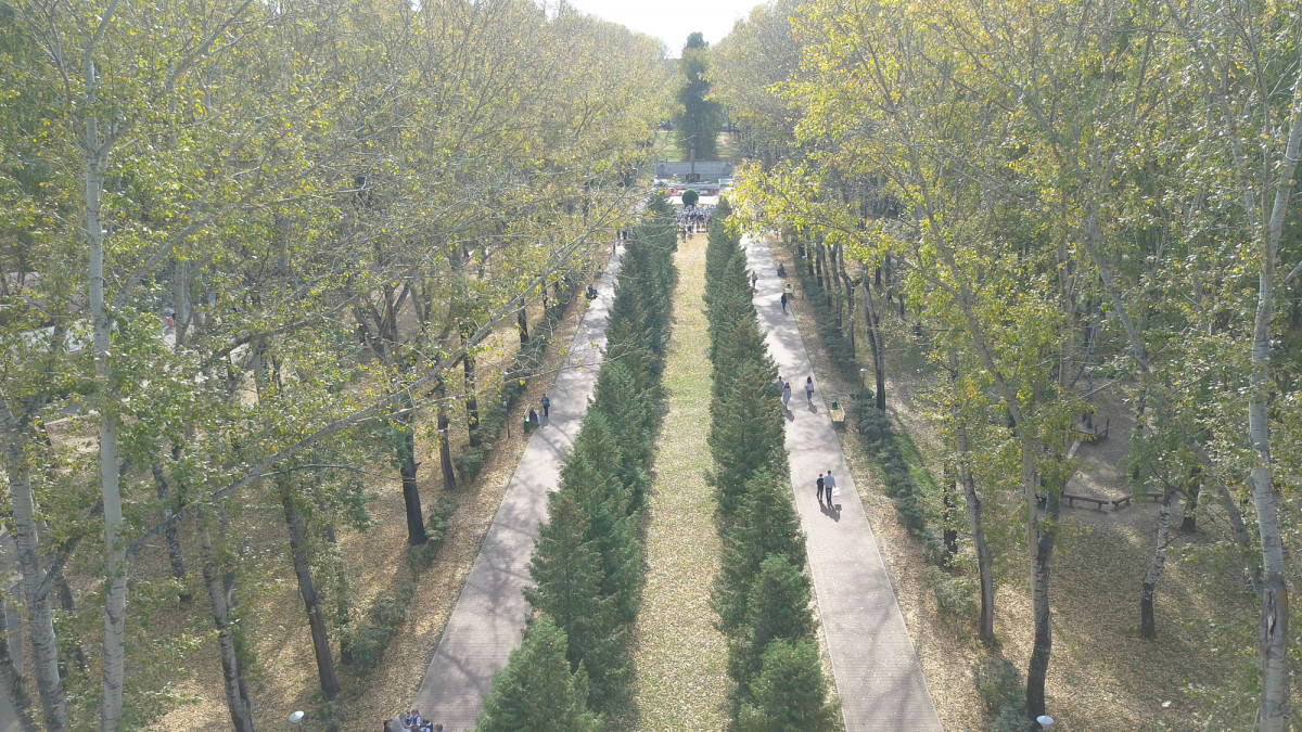 DJI_0136