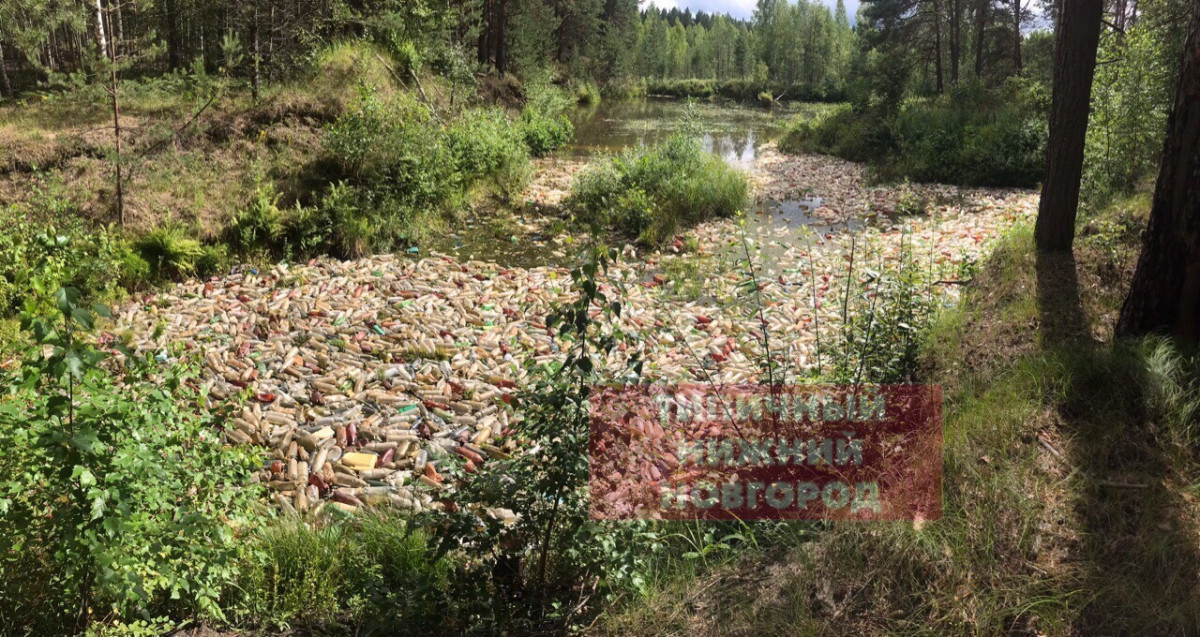 «Кладбище» пластиковых бутылок нашли рядом с Мулино