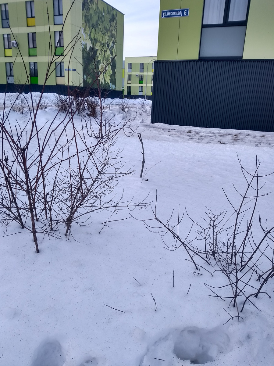 IMG_20200115_122353127_HDR