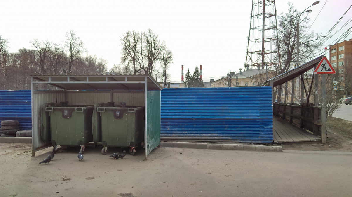 Стая крыс бегает по улице Костина