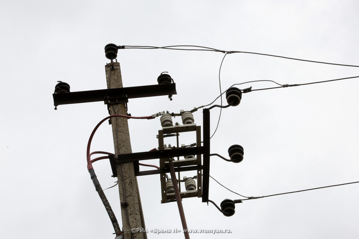 Садовое товарищество в Богородске оштрафовали за завышенные тарифы на электричество