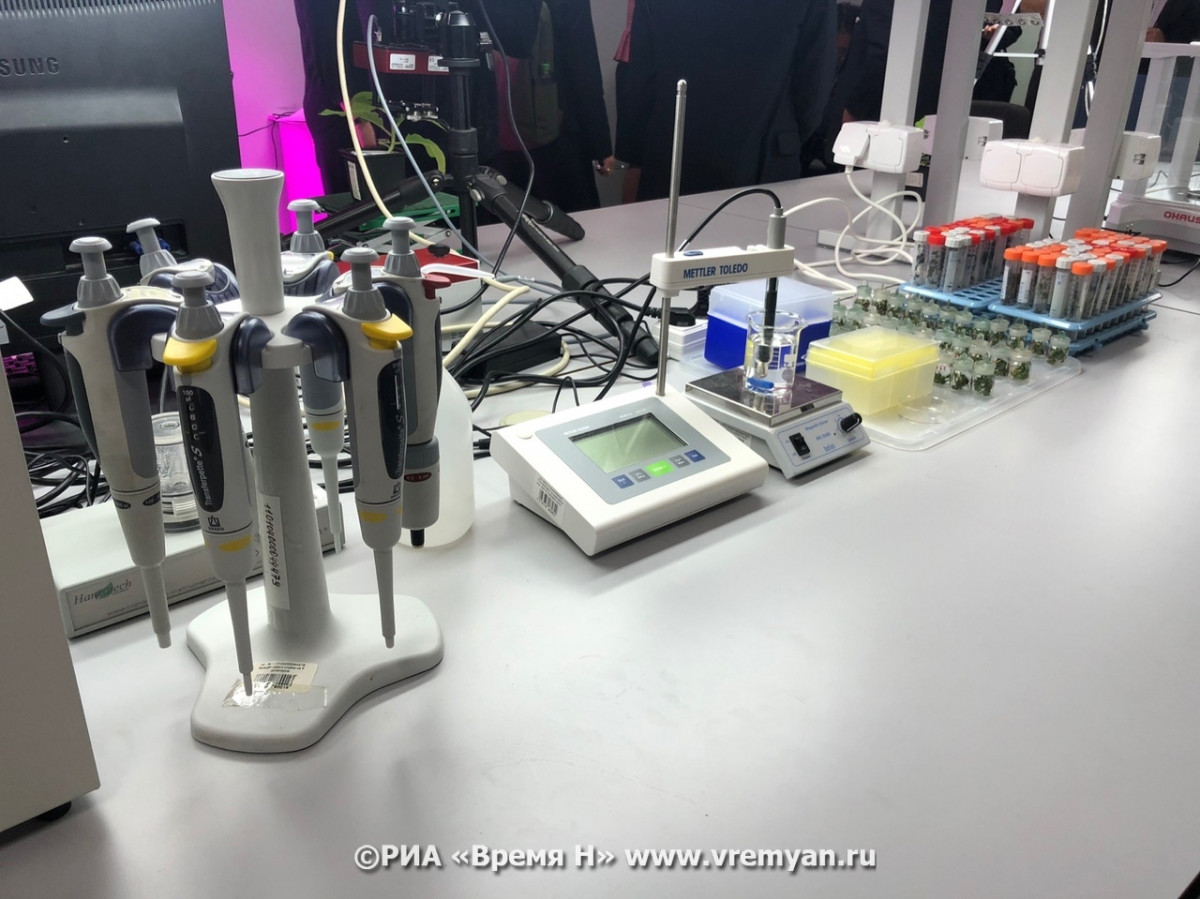 Выяснились новые подробности о строительстве нижегородского космодрома