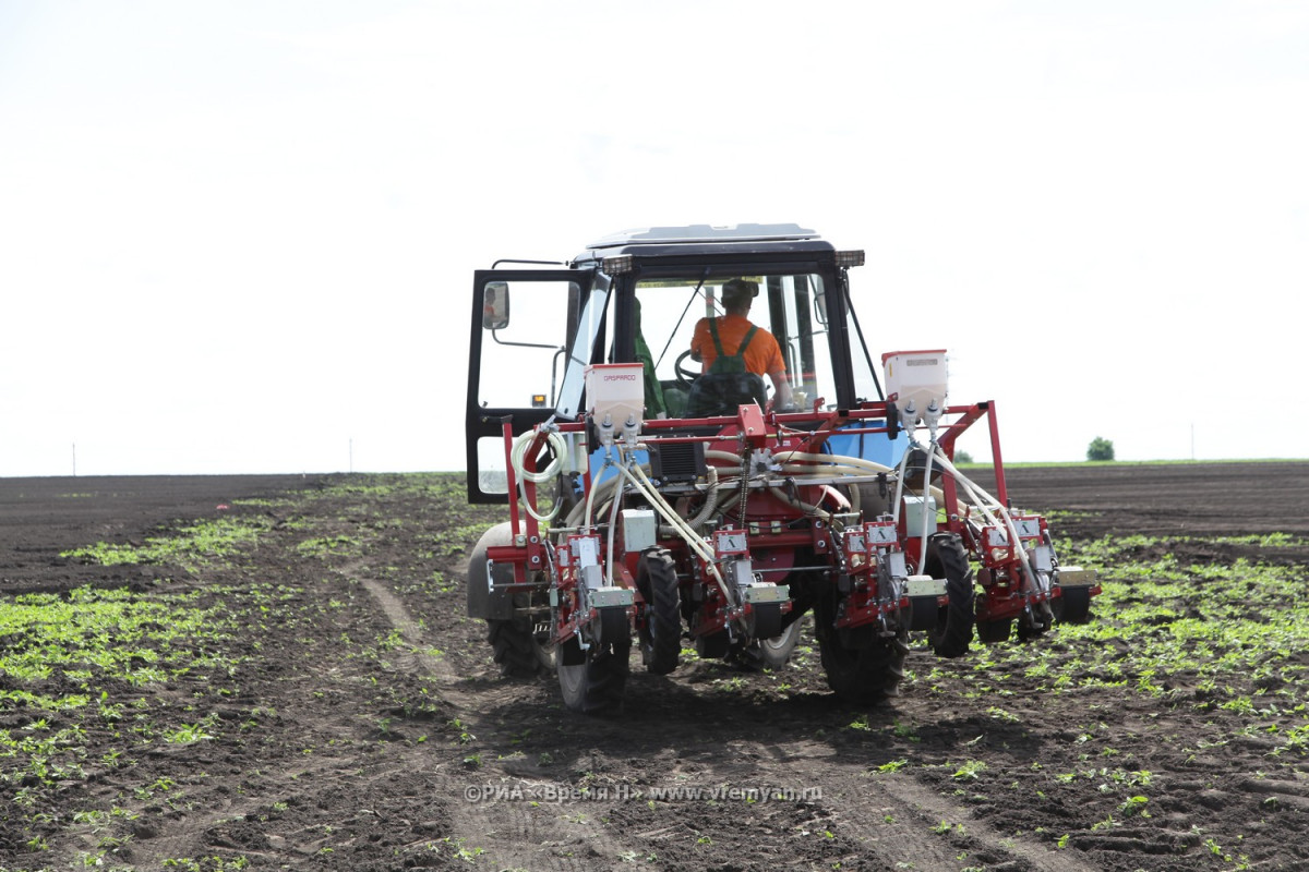 Более 80 новых фермерских хозяйств появилось в Нижегородской области в 2020 году