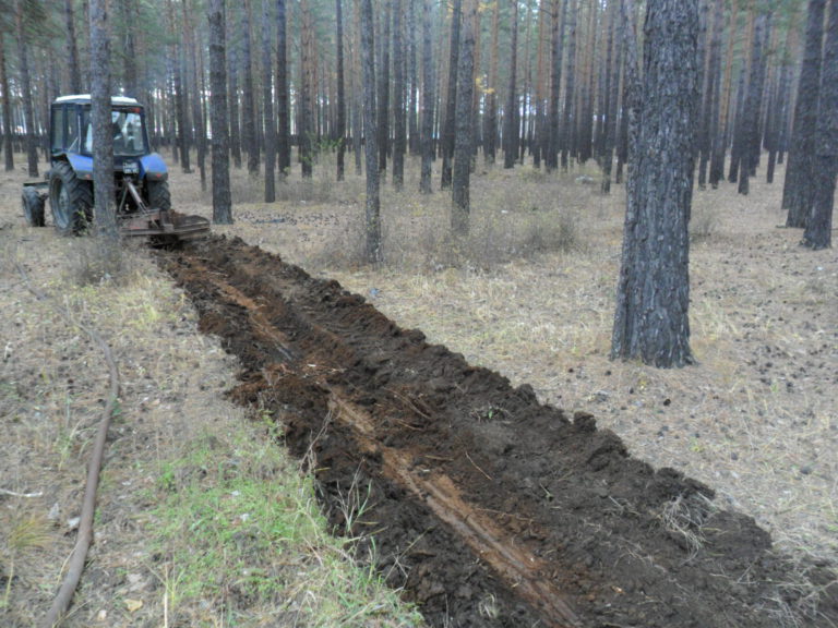 Нижегородские леса на 85% обустроены от пожаров