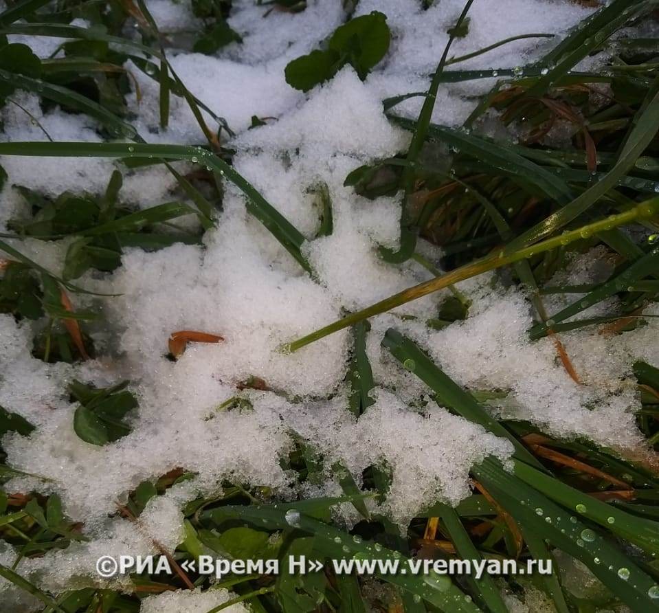 Первый снег выпал в Нижегородской области 18 октября