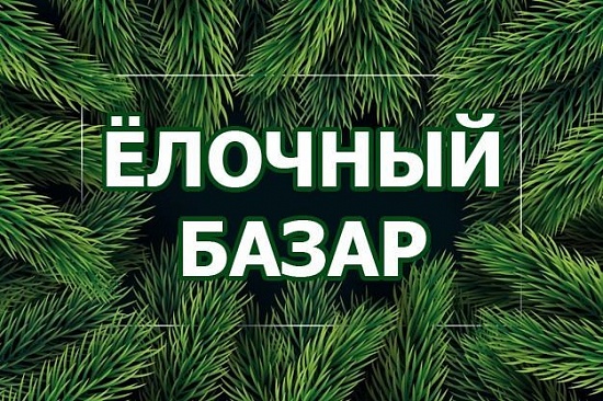 С 26 декабря в Дзержинске начинается торговля живыми елями