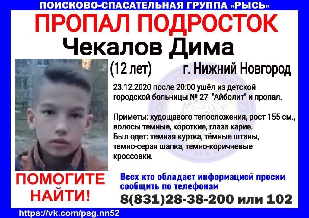 В Нижнем Новгороде без вести пропал 12-летний Дима Чекалов