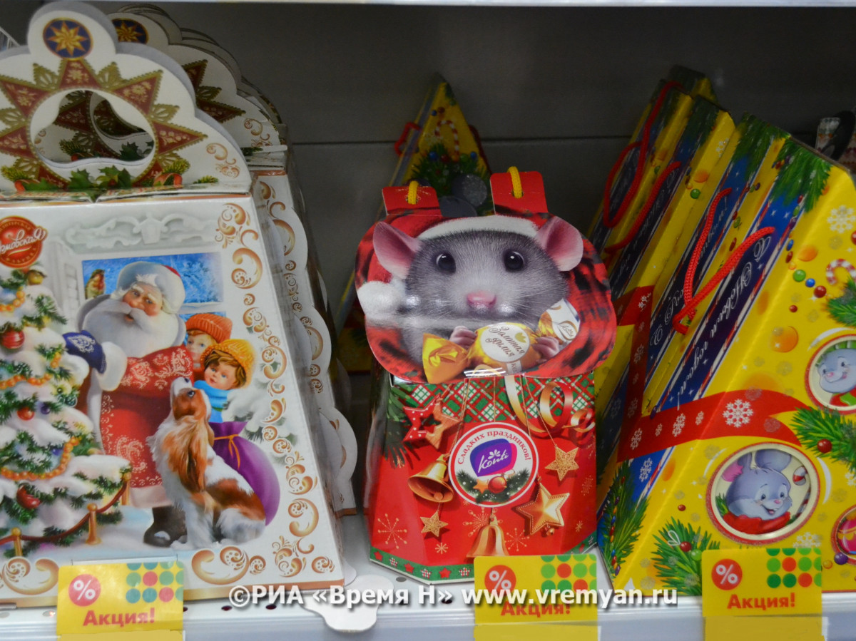 96 нижегородских детей из неблагополучных семей поздравят с Новым годом и Рождеством