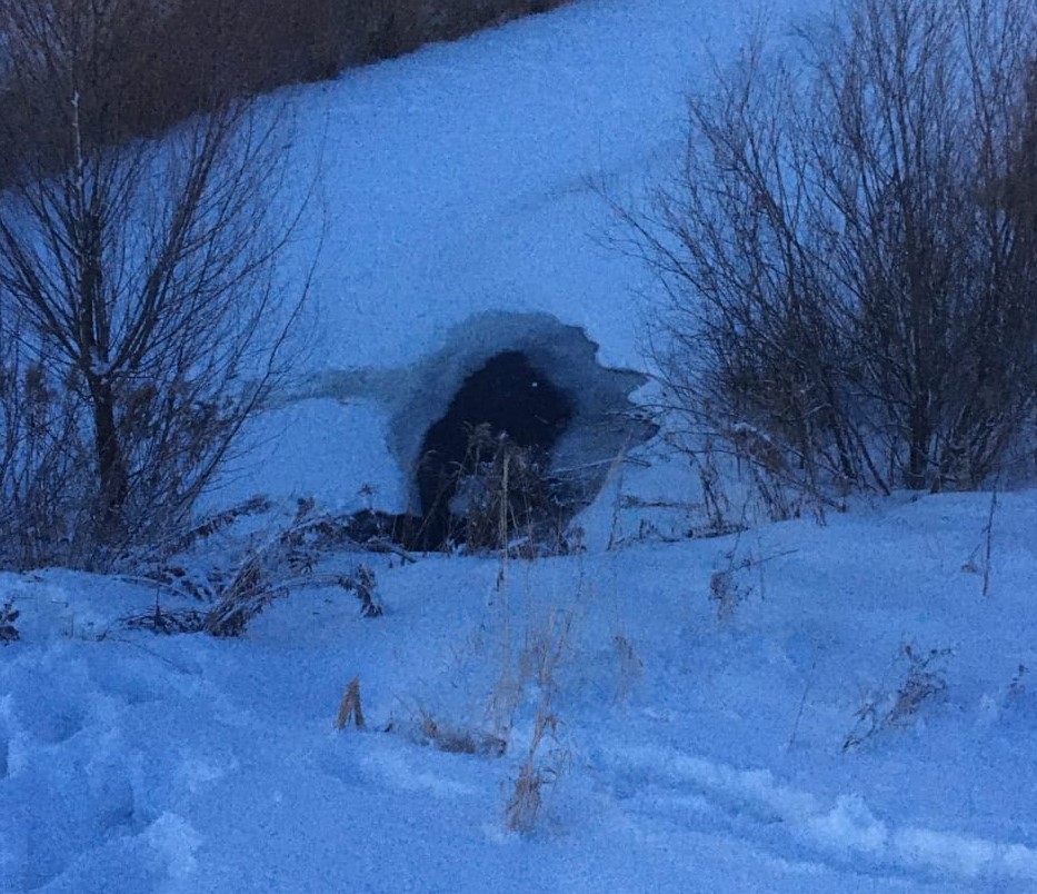 Трое детей провалились под лед в Кстовском районе 2 февраля