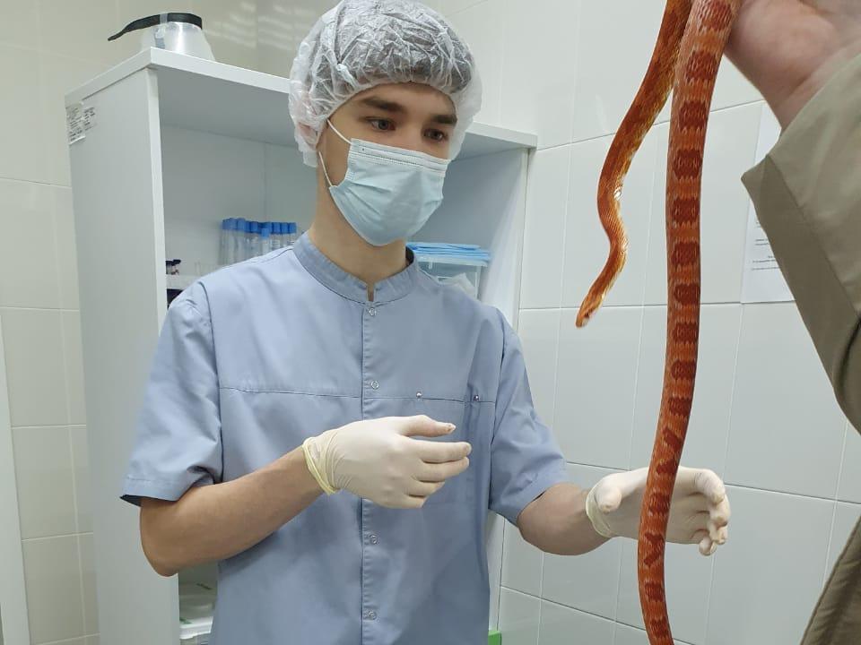 Первый отдел клинической лаборатории для животных заработал в Нижегородской области