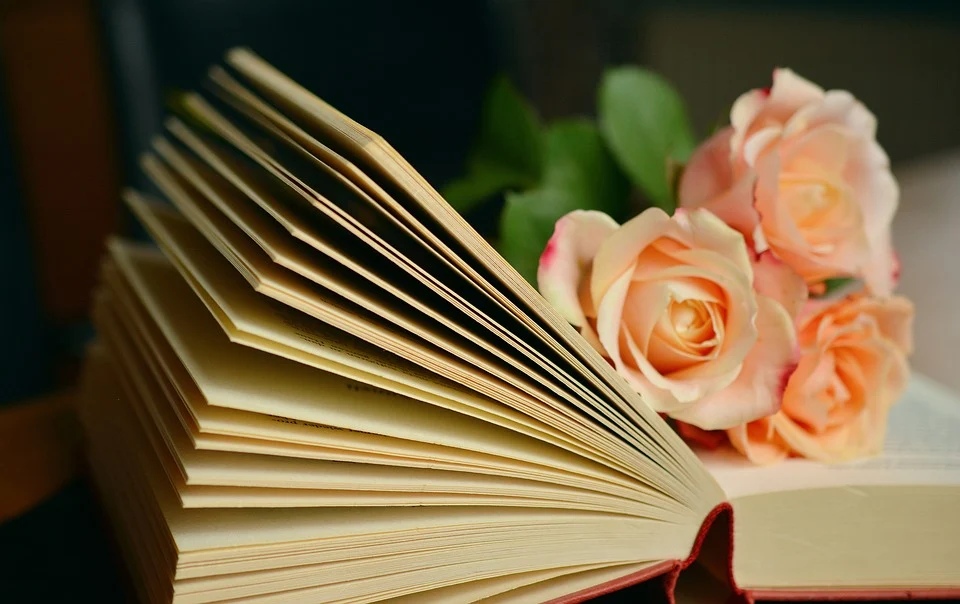 Нижегородские библиотеки 14 февраля отметят День влюблённых в книги