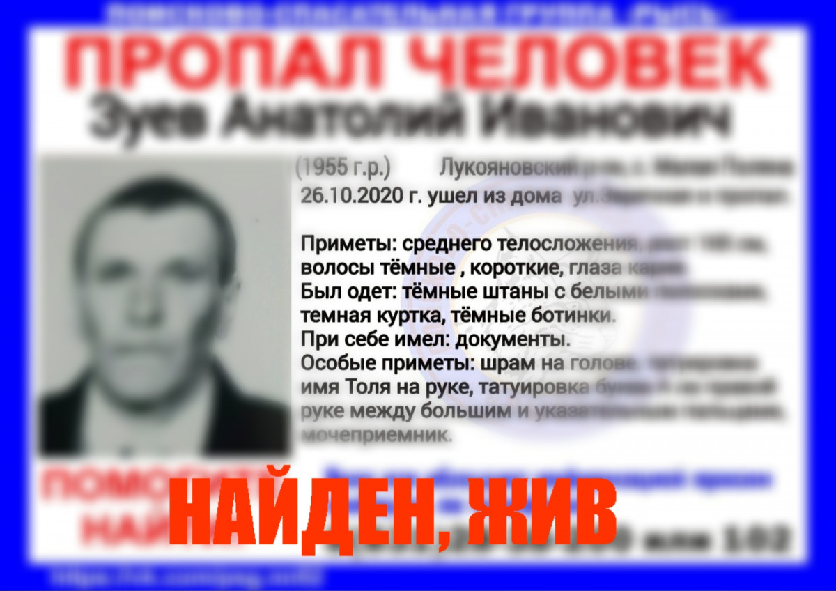 Найден Анатолий Зуев, пропавший в Лукояновском районе три месяца назад