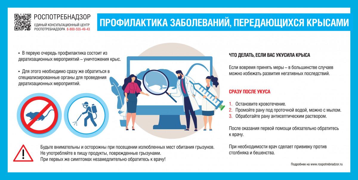 В нижегородском Роспотребнадзоре рассказали об инфекционных заболеваниях, передающихся крысами