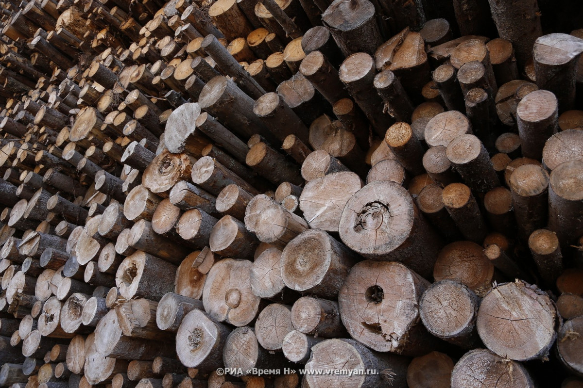 Предприниматель предстанет перед судом за вырубку леса на 2,5 млн рублей