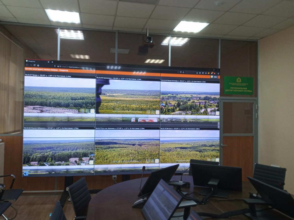 Авиационное патрулирование лесов усилят в Нижегородской области