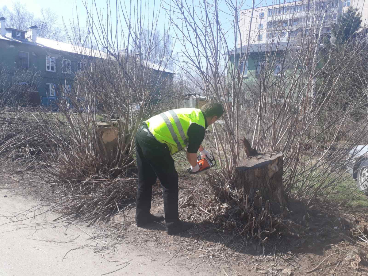 В Московском районе провели субботник на территории сквера Стелы погибшим Героям