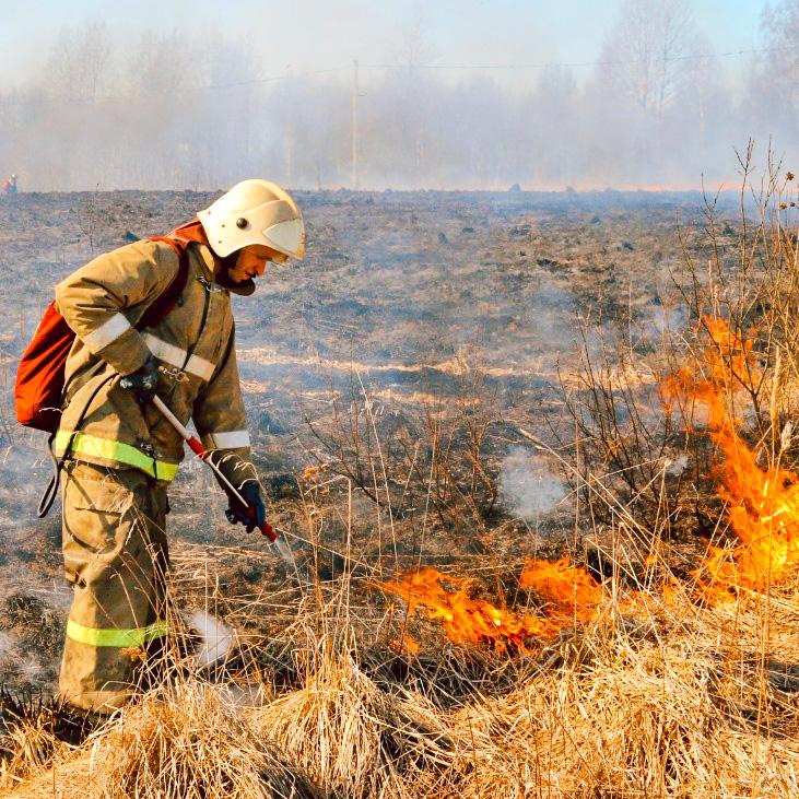 Артемовские луга до сих пор горят в Нижнем Новгороде