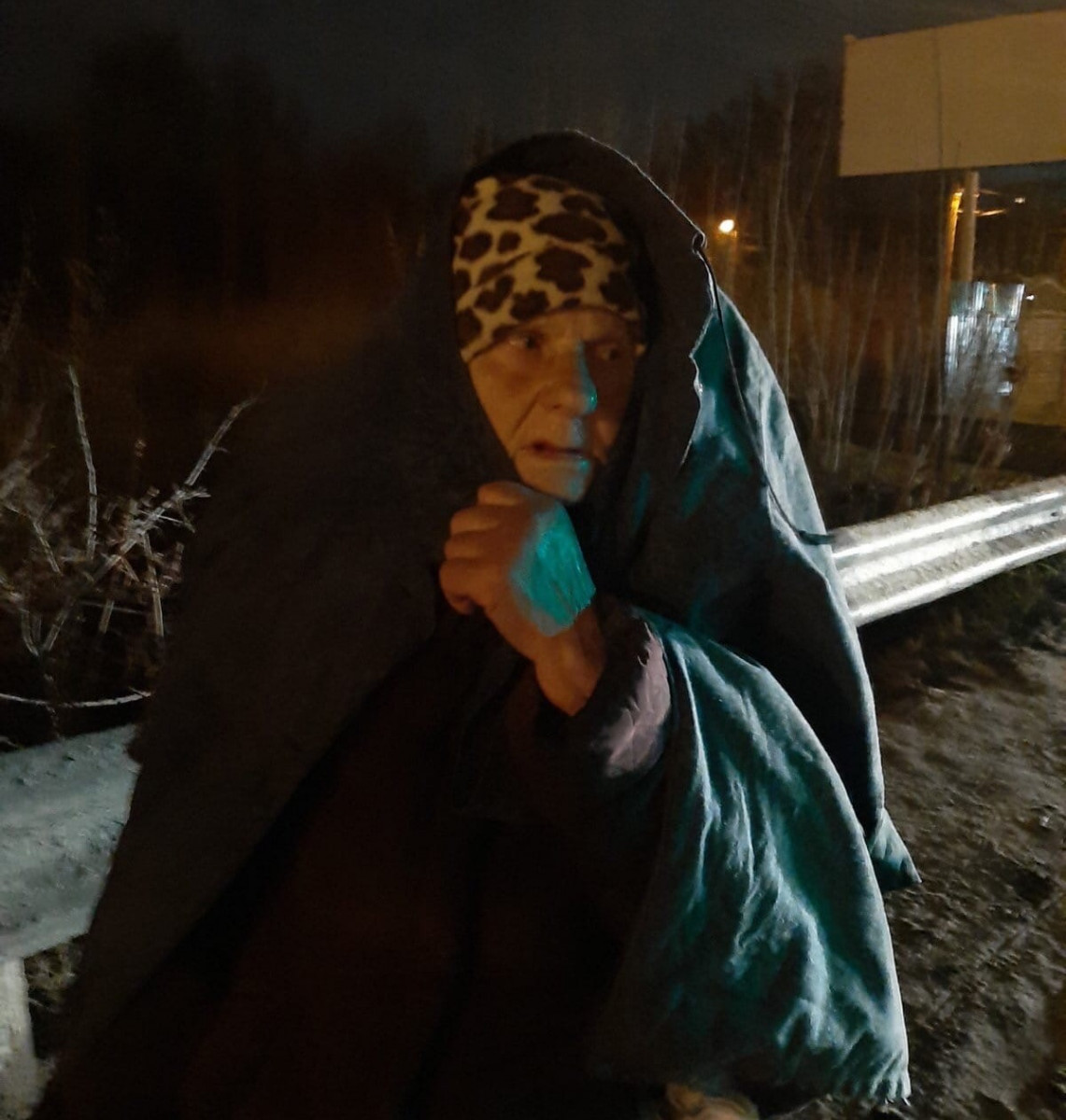 Волонтеры нашли пропавшую в Нижнем Новгороде 79-летнюю пенсионерку