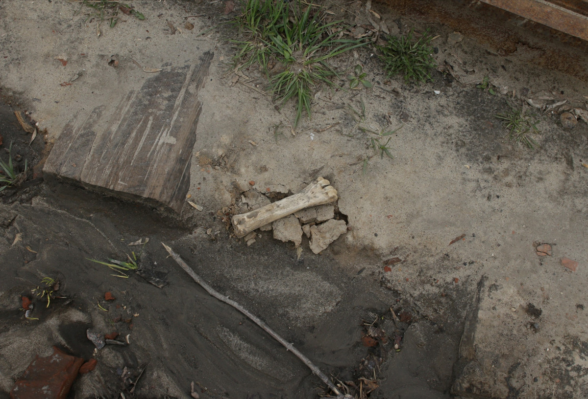 Кости найдены рядом с Нижегородским кремлем