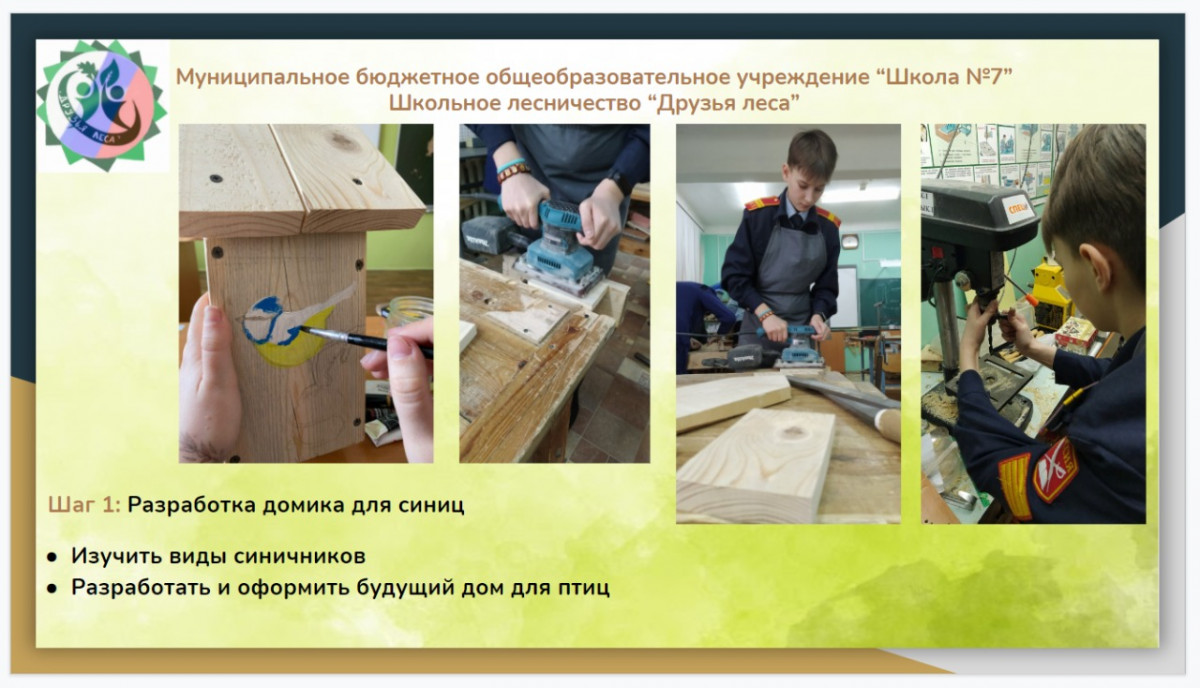 Интернет-проект для школьников «Лес будущего» завершился в Нижегородской области