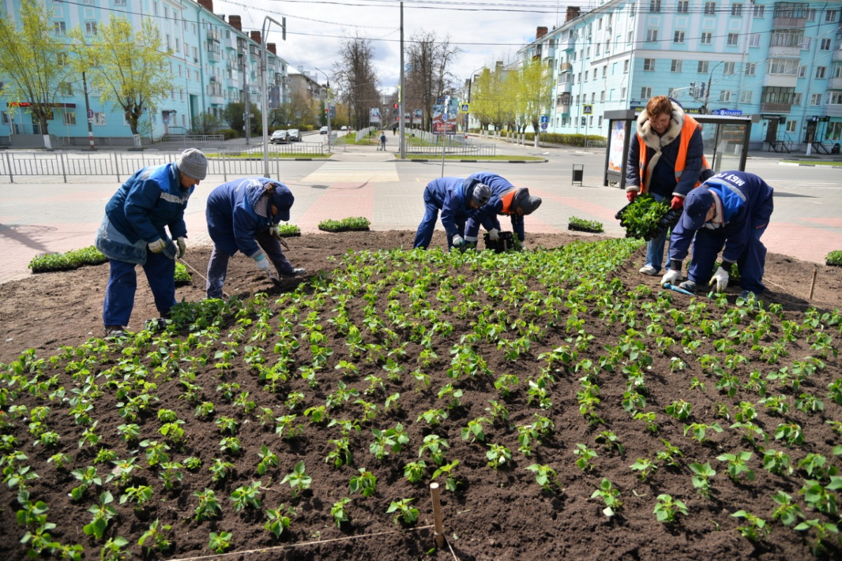 В Дзержинске начали высаживать цветы на городских клумбах